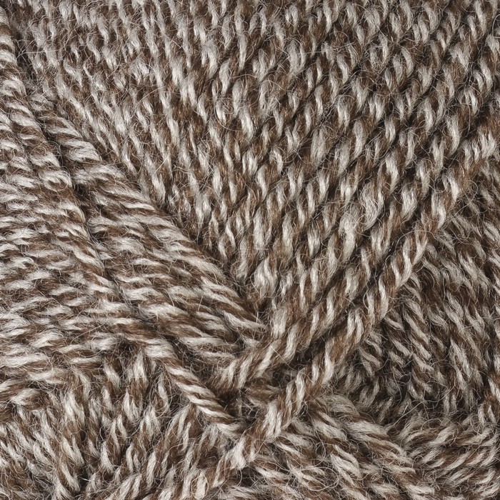 Пряжа "Superlambs special" 49% шерсть, 51% премиум акрил 200м/100гр (21264 кофейный мулине)   356314