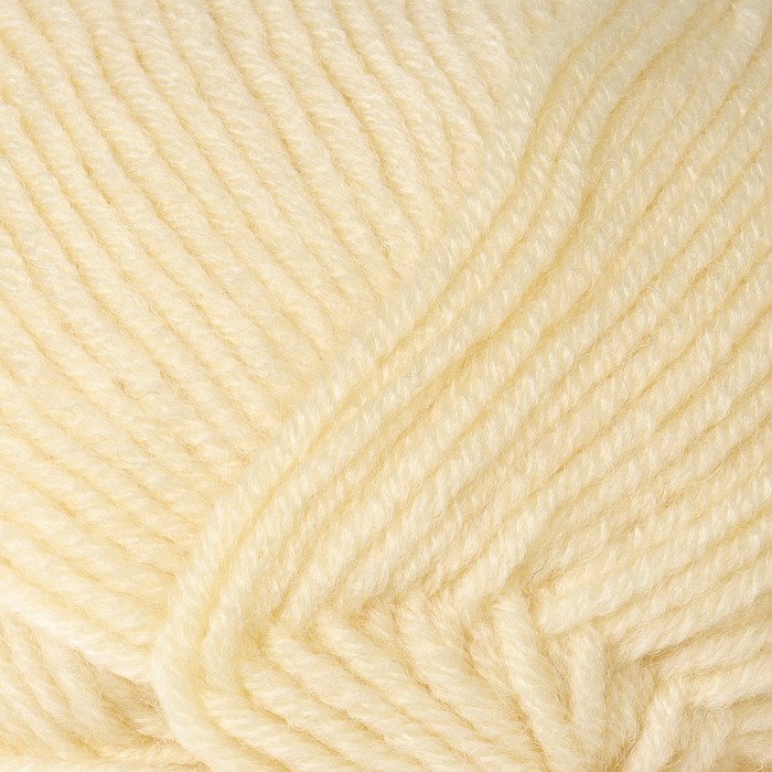 Пряжа "Superlambs special" 49% шерсть, 51% премиум акрил 200м/100гр (256 шампань)