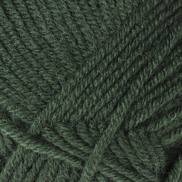 Пряжа "Superlambs special" 49% шерсть, 51% премиум акрил 200м/100гр (3601 изумрудный)
