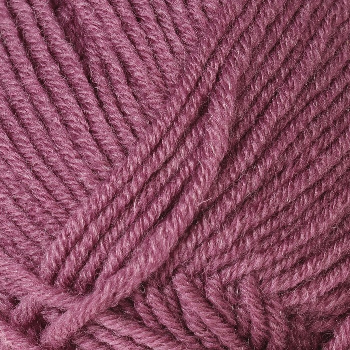Пряжа "Superlambs special" 49% шерсть, 51% премиум акрил 200м/100гр (569 т. пыльная роза)