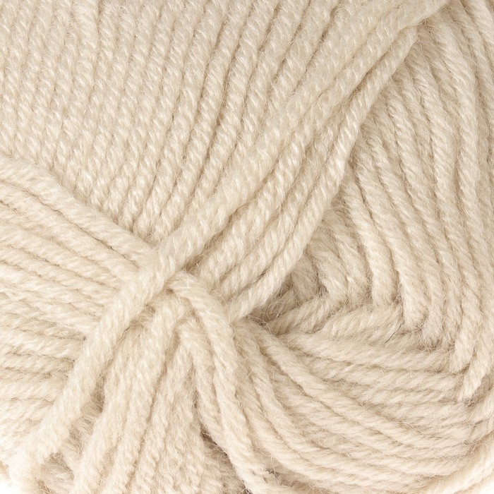 Пряжа "Superlambs special" 49% шерсть, 51% премиум акрил 200м/100гр (6383 грибной)