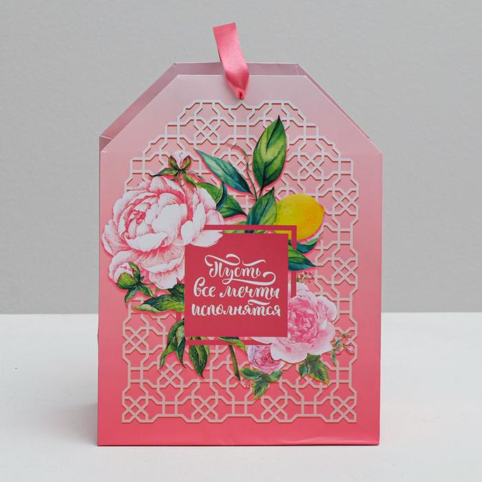 Пакет подарочный «Пусть все мечты исполнятся», 19,5 × 25,6 × 11см