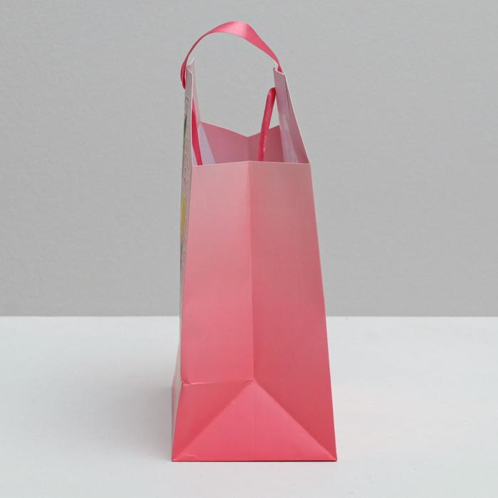 Пакет подарочный «Пусть все мечты исполнятся», 19,5 × 25,6 × 11см