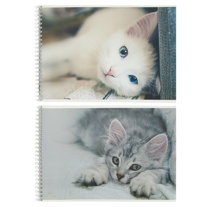 Альбом для рисования А4, 48 листов на гребне "Спящие кошки", картонная обложка, ВД-лак, тиснение "лён"