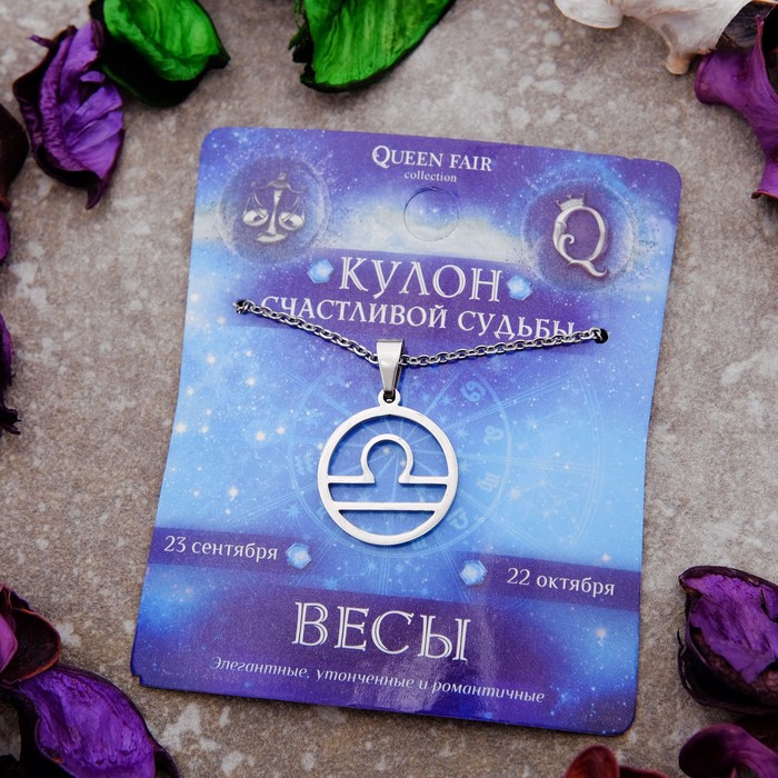 Кулон из стали "Знак зодиака" в круге, весы, цвет серебро, 45см