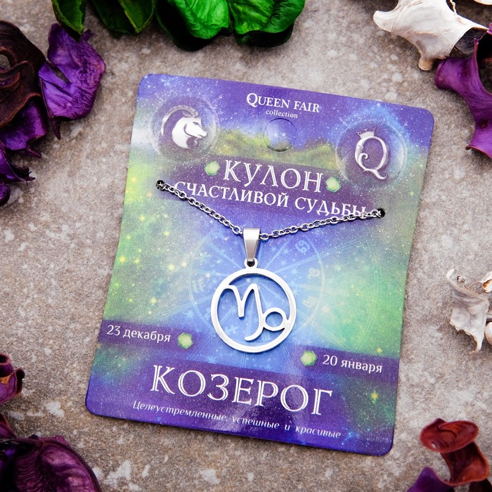 Кулон из стали "Знак зодиака" в круге, козерог, цвет серебро, 45см
