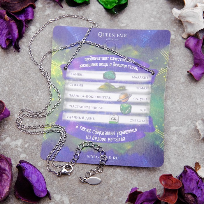 Кулон из стали "Знак зодиака" в круге, козерог, цвет серебро, 45см