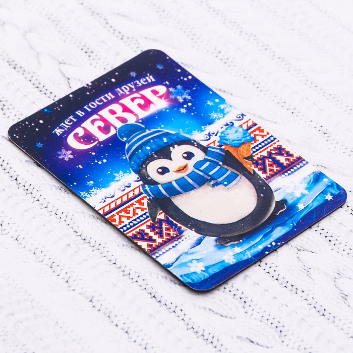 Магнит «Север. Пингвиненок»