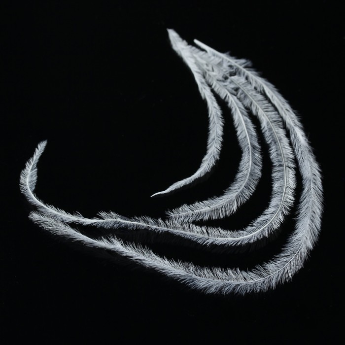 Перья для декора ногтей, цвет белый