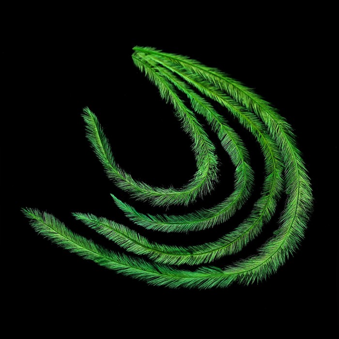 Перья для декора ногтей, цвет зелёный