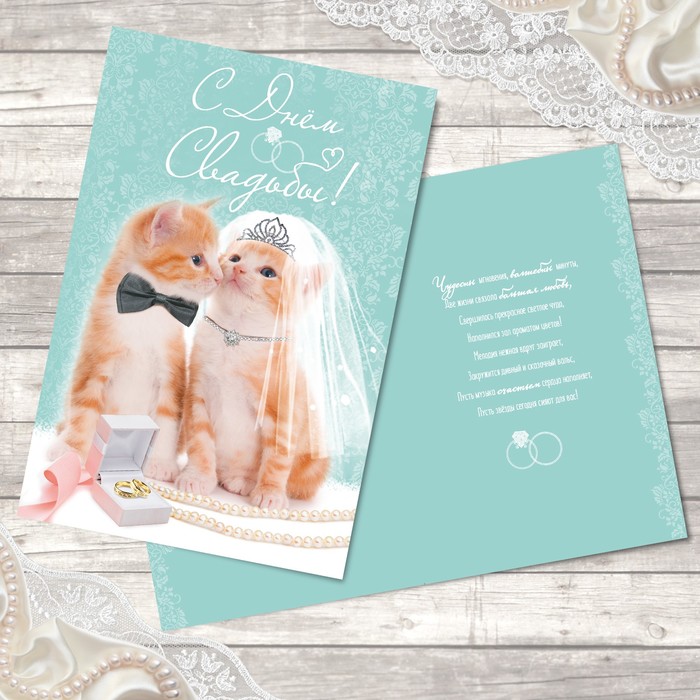 Открытка свадебная "Милые котики" 12х18см