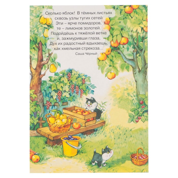 Ширмочки информационные "Лето" Тематический уголок для детей и родителей