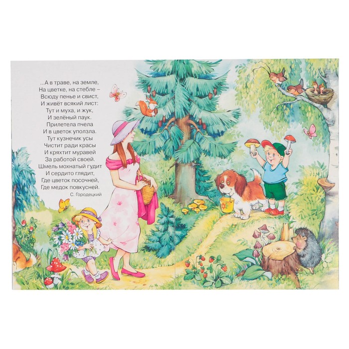 Ширмочки информационные "Лето" Тематический уголок для детей и родителей