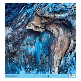 

Бумага для скрапбукинга «Кора», 30.5 × 30.5 см, 180 г/м
