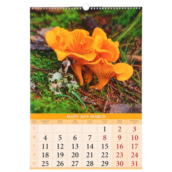 Календарь перекидной, ригель и пружина "Дары природы и леса" 2019 год, 34х49см