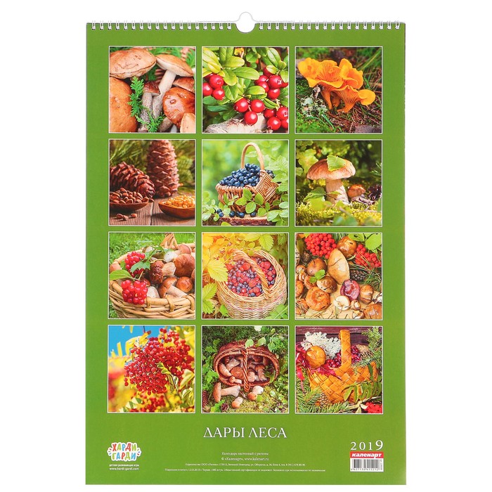 Календарь перекидной, ригель и пружина "Дары природы и леса" 2019 год, 34х49см