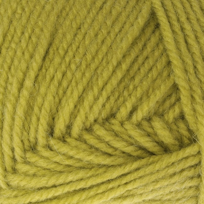 Пряжа "Надежда" 30% шерсть, 70%акрил 220м/100гр (131 св. липа)