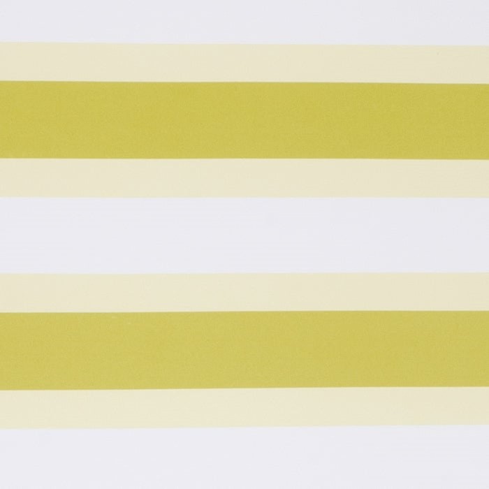 Рулонная штора "Дуэт Линея, Лайм", ш. 34 см, в. 170