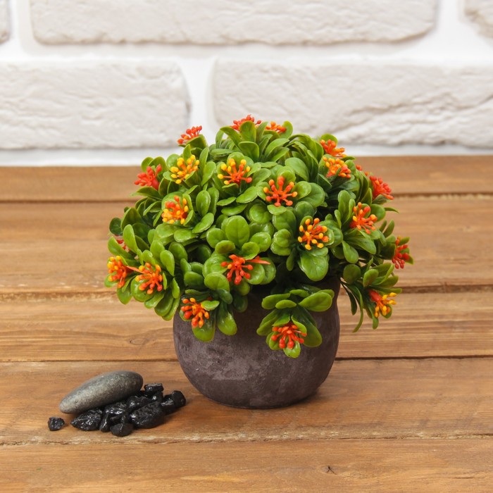 Бонсай в горшке "Листья с тычинками" 10*12 см, микс