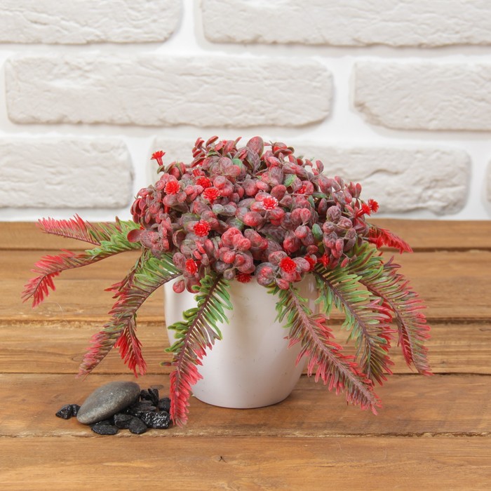 Бонсай в горшке "С маленькими цветочками" 12*14 см, микс