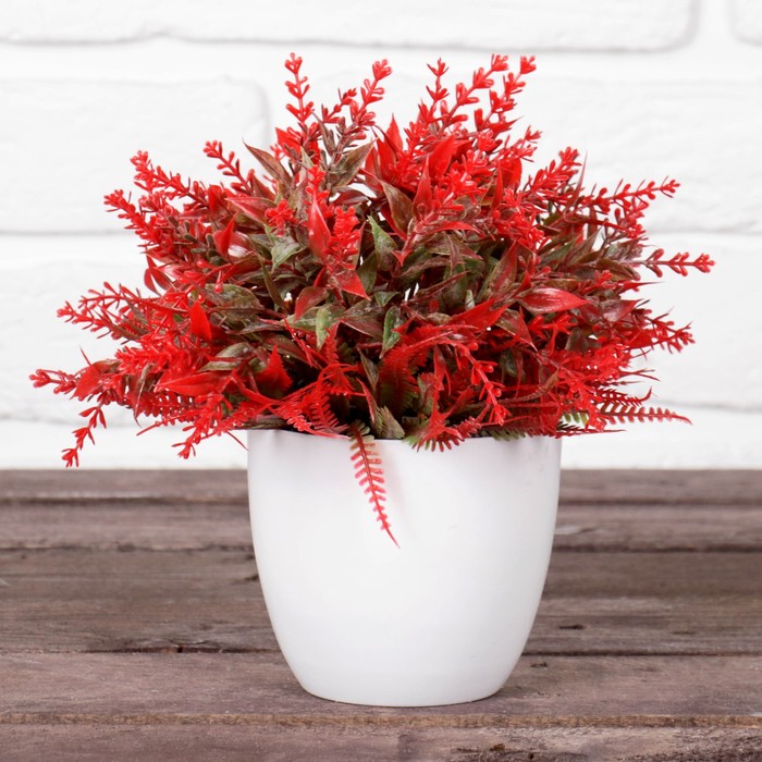 Бонсай в горшке "Листья ассорти" 13*16 см, микс