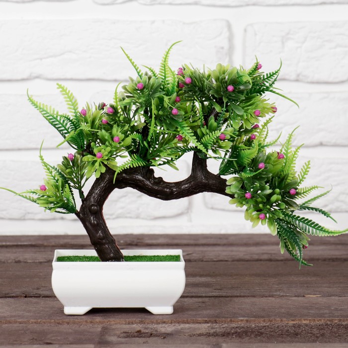 Бонсай "Деревце с бутончиками и папоротником" 10*18 см, микс