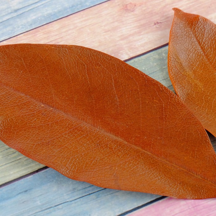 Сухие листья, (набор 2 шт), размер 1 шт 14,5*5, цвет коричневый