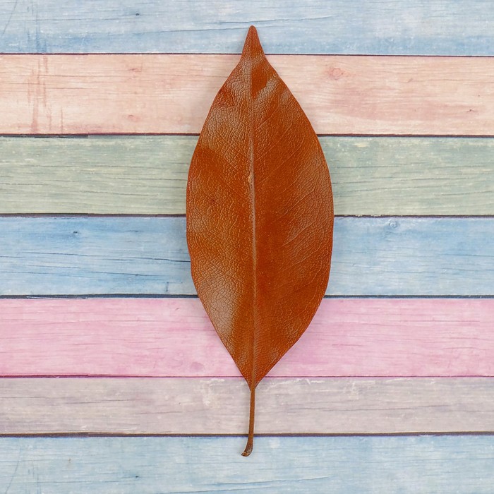 Сухие листья, (набор 2 шт), размер 1 шт 14,5*5, цвет коричневый