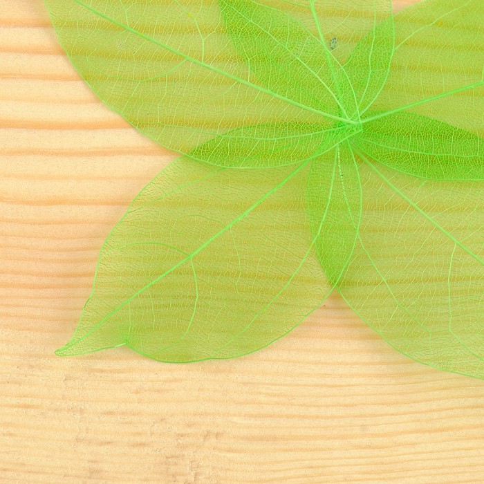 Сухие листья, (набор 5 шт), размер 1 шт 8*5, цвет зеленый