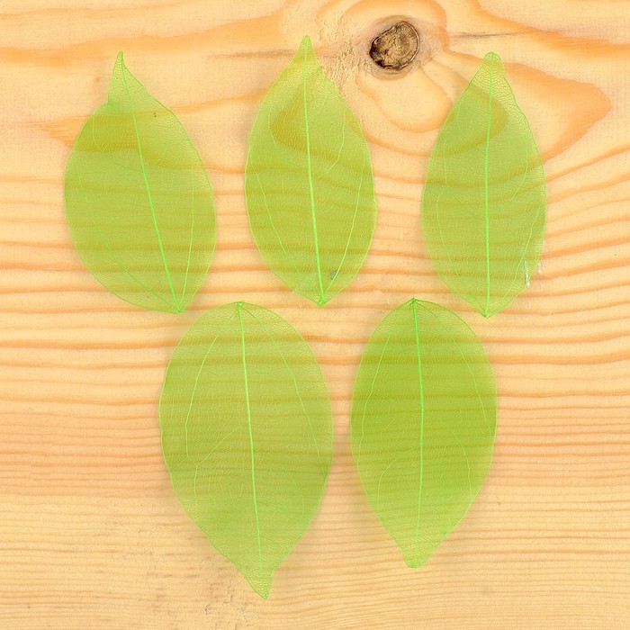 Сухие листья, (набор 5 шт), размер 1 шт 8*5, цвет зеленый