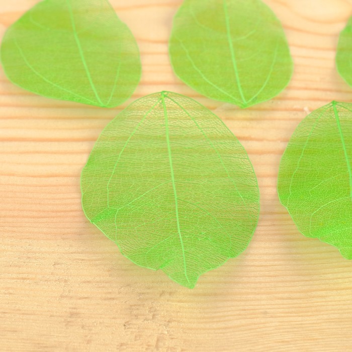 Сухие листья, (набор 5 шт), размер 1 шт 8*5, цвет зеленый