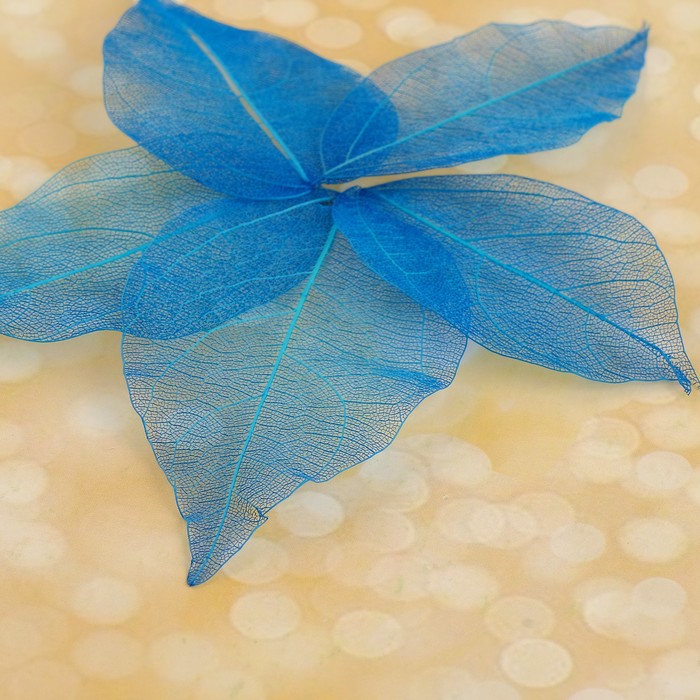 Сухие листья, (набор 5 шт), размер 1 шт 8*5, цвет синий