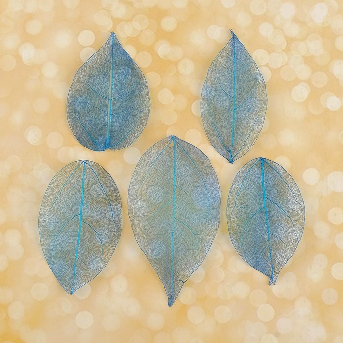 Сухие листья, (набор 5 шт), размер 1 шт 8*5, цвет синий
