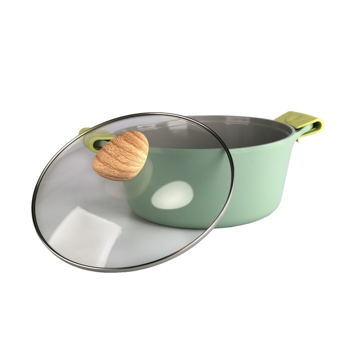 Кастрюля Greenwood, со стеклянной крышкой, 24 см, 4,5 л + силиконовые прихватки