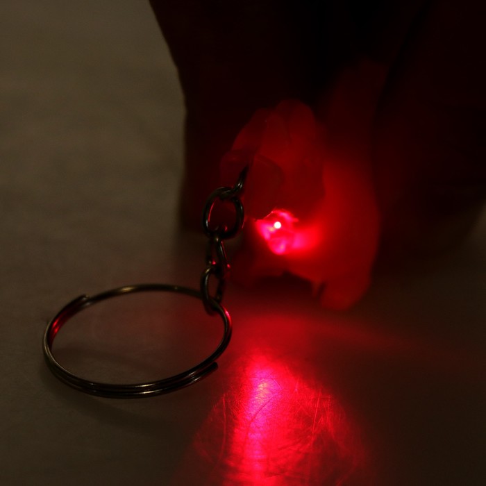 Фонарик свет на кольце "Динозаврик" МИКС 6х2,3х1,5 см