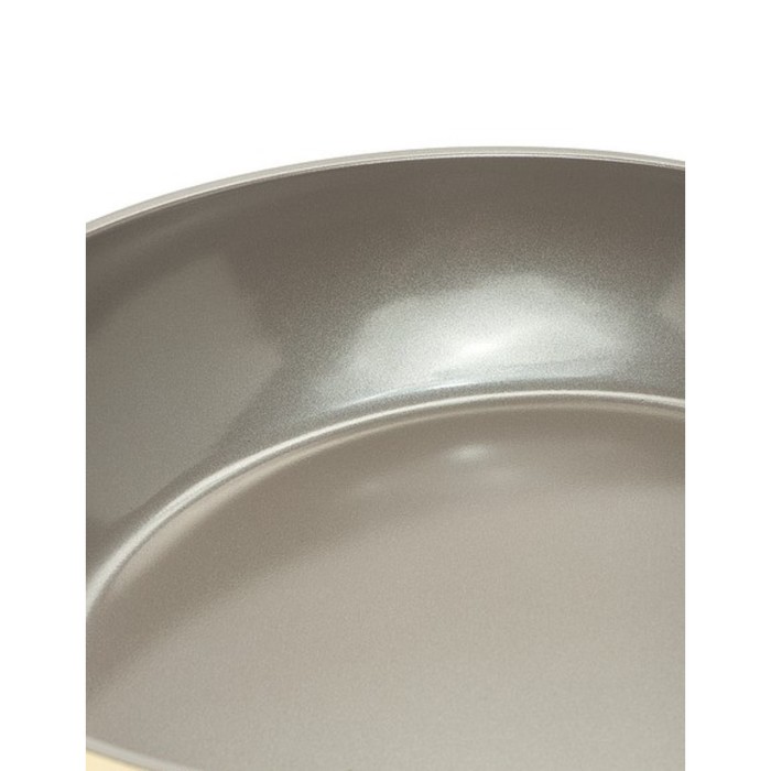 Сковорода литая Oliva-F24I, с индукционным дном, 24 см