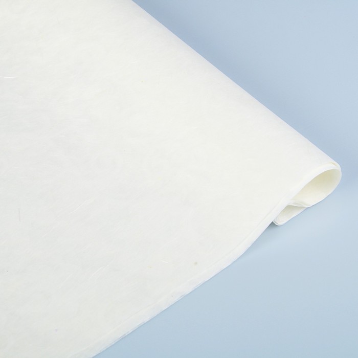 Бумага тутовая, HANJI, «Винная лоза» 0,64 х 0,94 м, 34г/м2