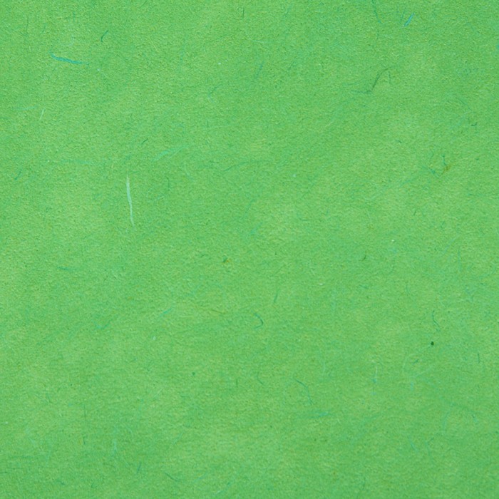 Бумага тутовая, HANJI, «Калька», зелёный 0,64 х 0,94 м, 52 г/м2