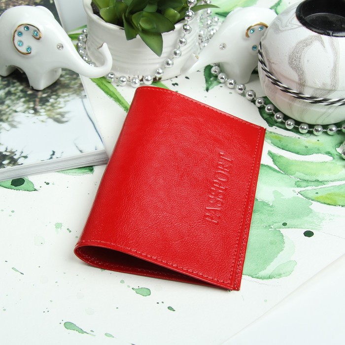 Обложка для паспорта, питон, цвет красный