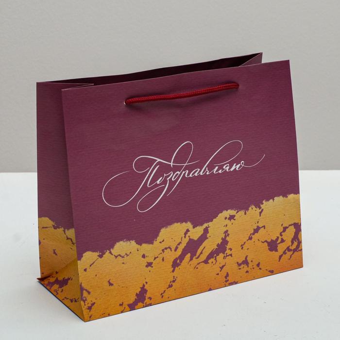 Пакет ламинированный горизонтальный «Поздравляю», ML 23 × 27 × 11,5 см