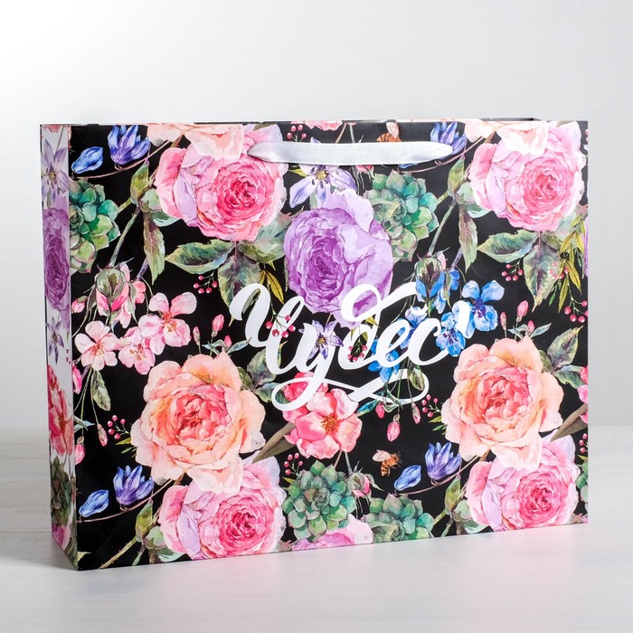 Пакет ламинированный горизонтальный «Чудес», MS 18 × 23 × 10 см