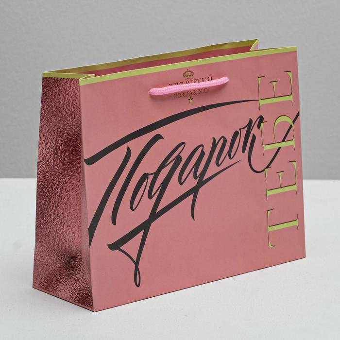 Пакет ламинированный горизонтальный «Подарок тебе», MS 18 × 23 × 10 см