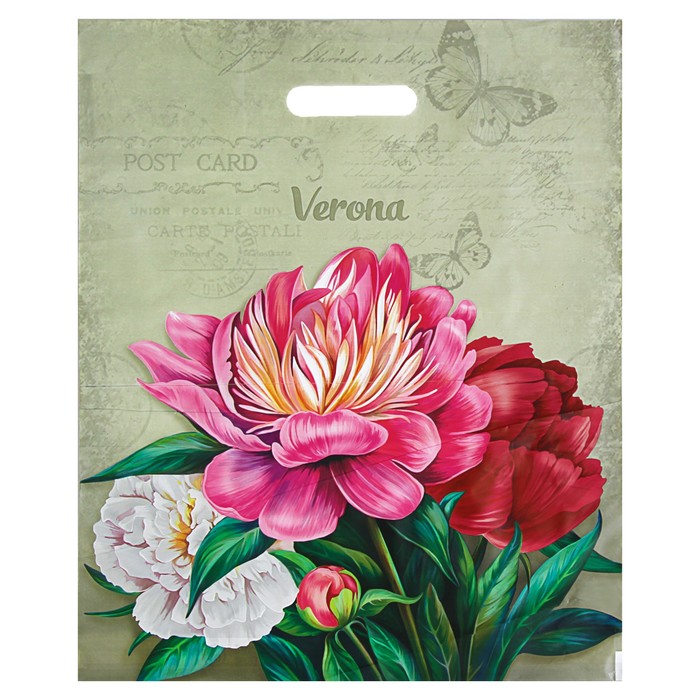 Пакет "Верона", полиэтиленовый с вырубной ручкой 38 х 47 см, 60 мкм