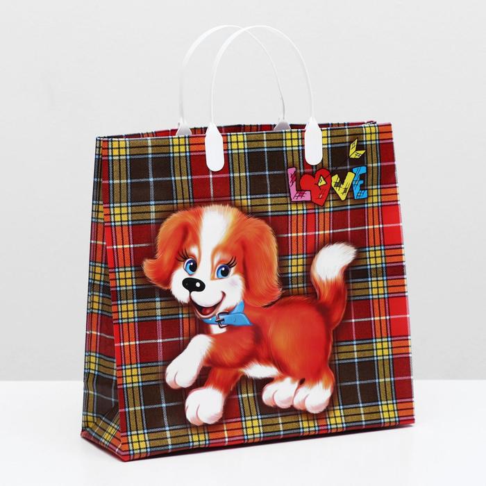 Пакет "Дружок", мягкий пластик, 30 х 30 см, 150 мкм