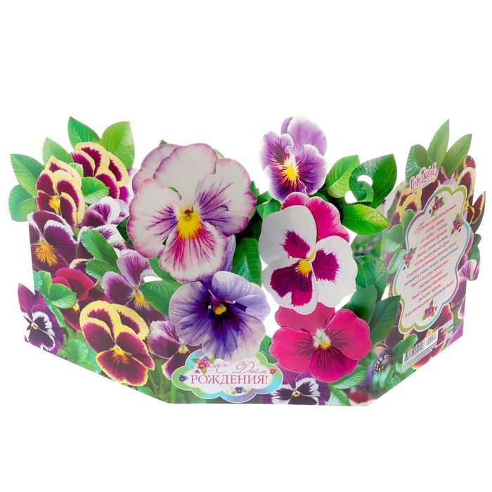 Открытка трёхмерная "С Днем Рождения" анютины глазки, А4