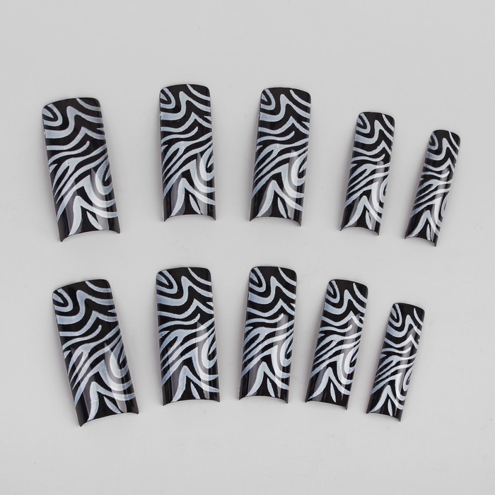 Типсы с рисунком "Зебра", 70 шт