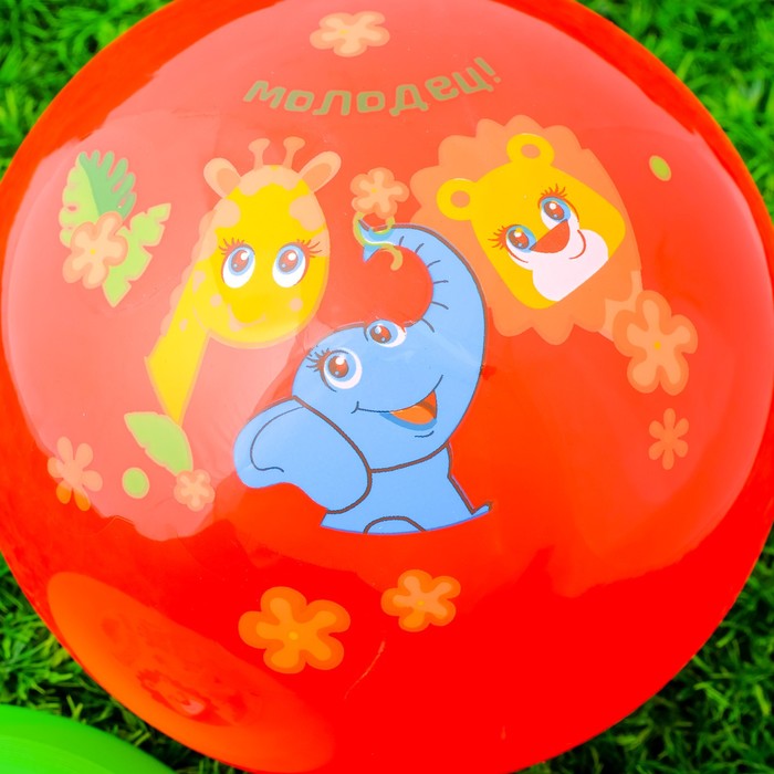 Игровой набор: фрисби, мяч детский "Молодец", 22 см