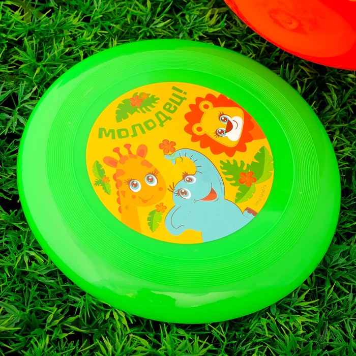 Игровой набор: фрисби, мяч детский "Молодец", 22 см