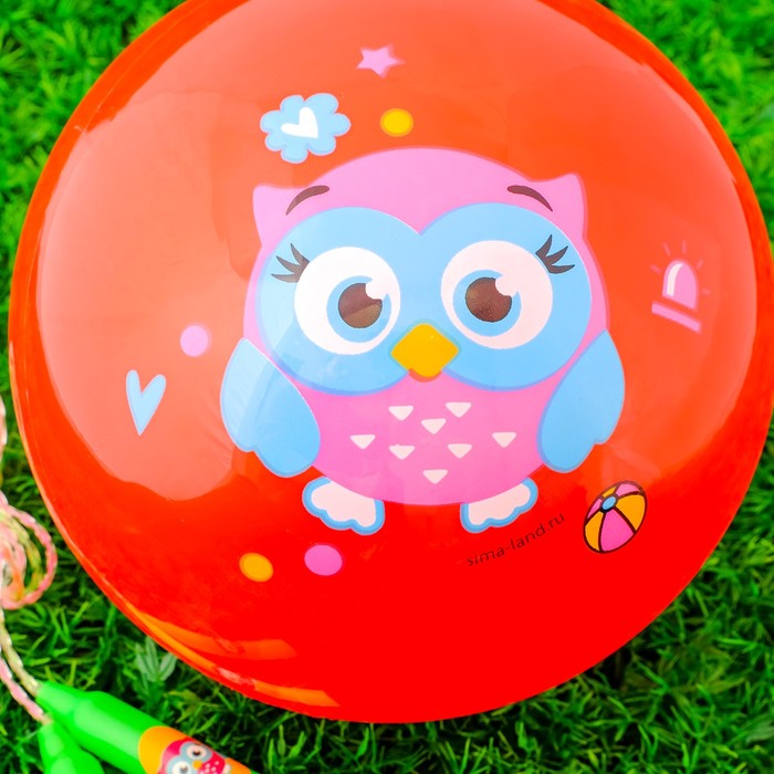 Игровой набор: скакалка, мяч детский "Совенок", 22 см