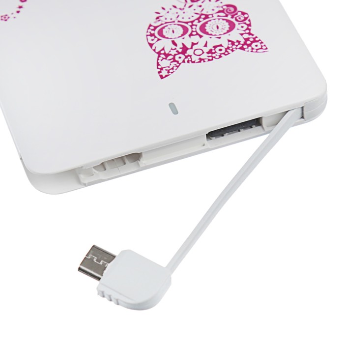 Внешний аккумулятор LuazON Home "Кот", 4000 мАч,провод microUSB,переходник для iPhone 5-Х